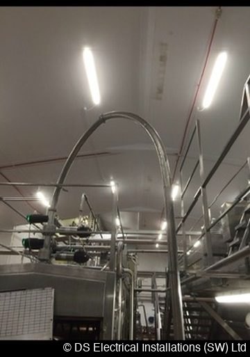 Food production hall re-light
